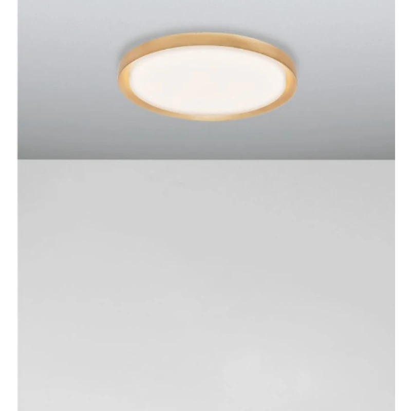 Ceiling lamp TROY 9053460