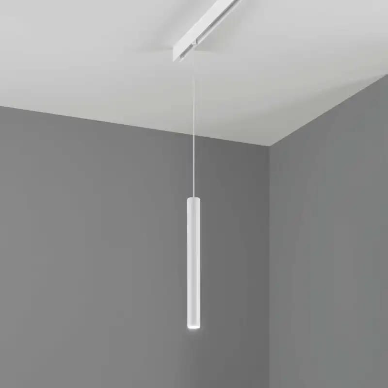 Rajavalgus Ego Pendant and Wall Washer 282879