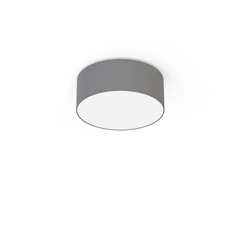 Griestu lampa 9687 CAMERON GRAY II