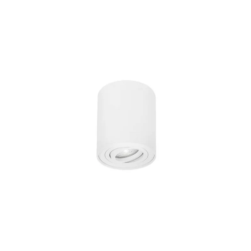 Griestu lampa Gozzano 820001