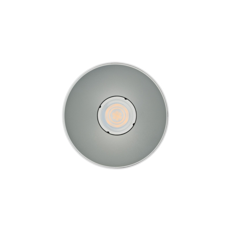 Ceiling lamp POINT TONE 8220 WH/SI