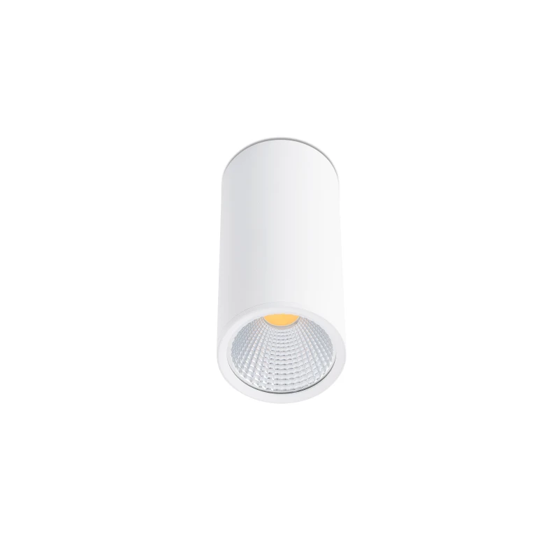 Griestu lampa REL-P LED White