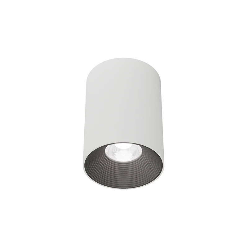 Griestu lampa Z08754-12.38.30.WB