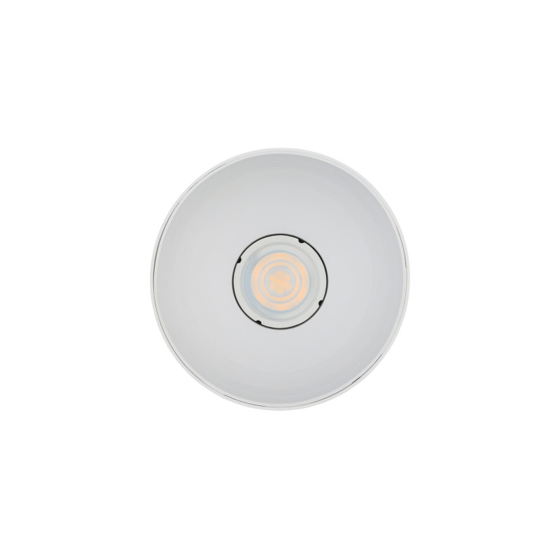 Griestu lampa POINT TONE 8222 WH/WH